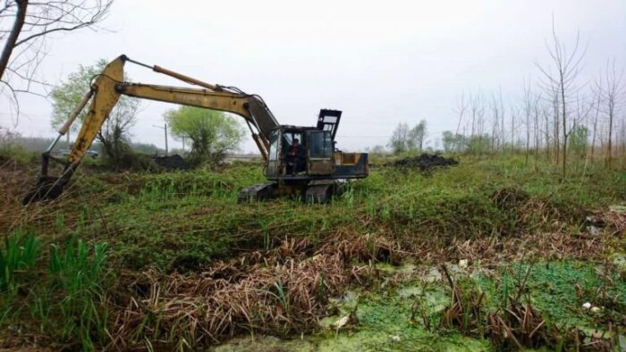 جلوگیری از تخریب و تصرف سه هکتار از اراضی تالابی بندر انزلی
