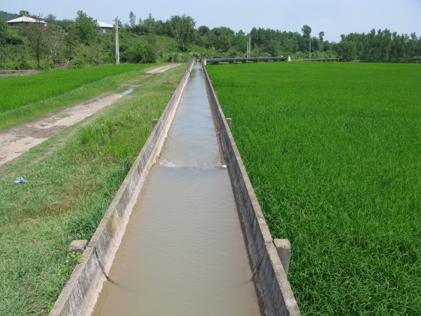 برنجکاران زحمتکش گیلانی موضوعات کمبود آب کشاورزی را به ادارات آبیاری اطلاع دهند
