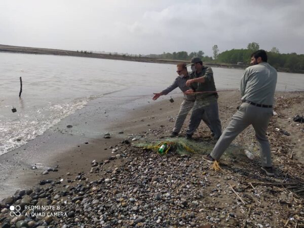 پاکسازی رودخانه پلرود از ادوات صید غیر مجاز