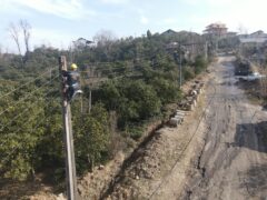 ۲۰۰۰ متر شبکه سیمی فرسوده در شهرستان خمام با کابل خودنگهدار جایگزین شد