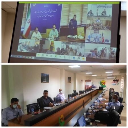 نشست هم‌اندیشی آنلاین سخنگوی دولت با مدیران روابط عمومی صنعت آب و برق استان