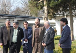 مشارکت همگانی، کلید توسعه فضای سبز در گیلان مشارکت همگانی، کلید توسعه فضای سبز در گیلان