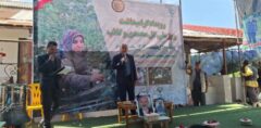 گیلان ۱۳۰ هکتار سطح زیر کشت گل محمدی دارد